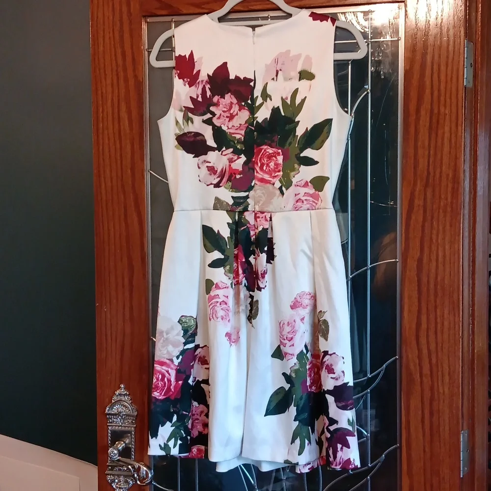 Blooming Roses Dress - Picture 6 of 6